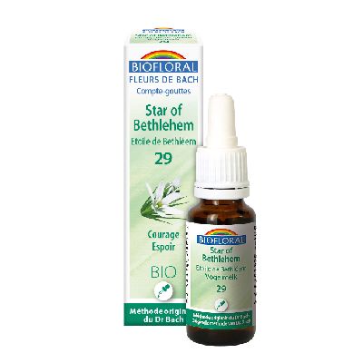 Ef Etoile Bethleem 20 Ml