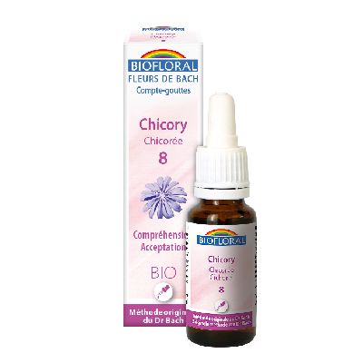 Ef Chicoree 20 Ml